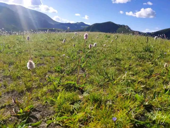 大学生去西藏支教的真实感受,真实的藏区支教