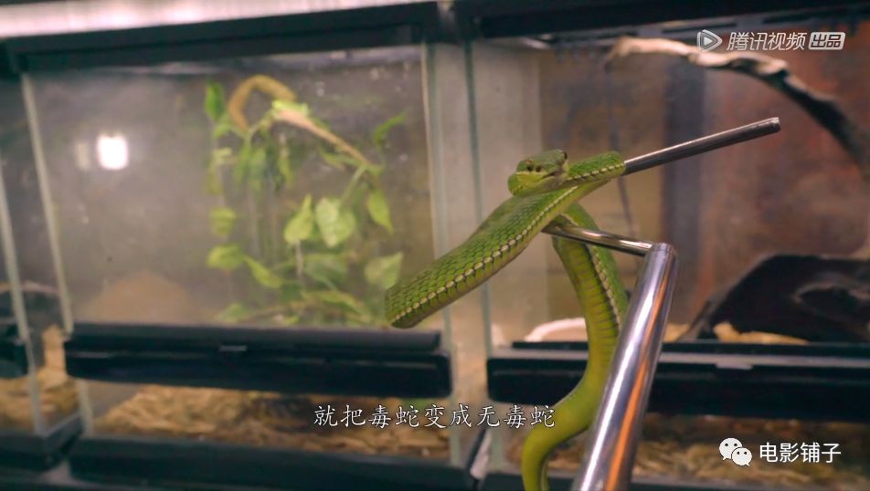 如此「变态」的欲望，这届有钱人真猛