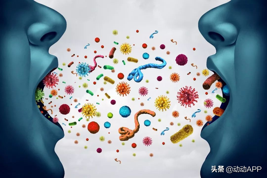 口罩戴一会有臭味是口臭导致的吗,口臭自己戴口罩闻不到怎么回事