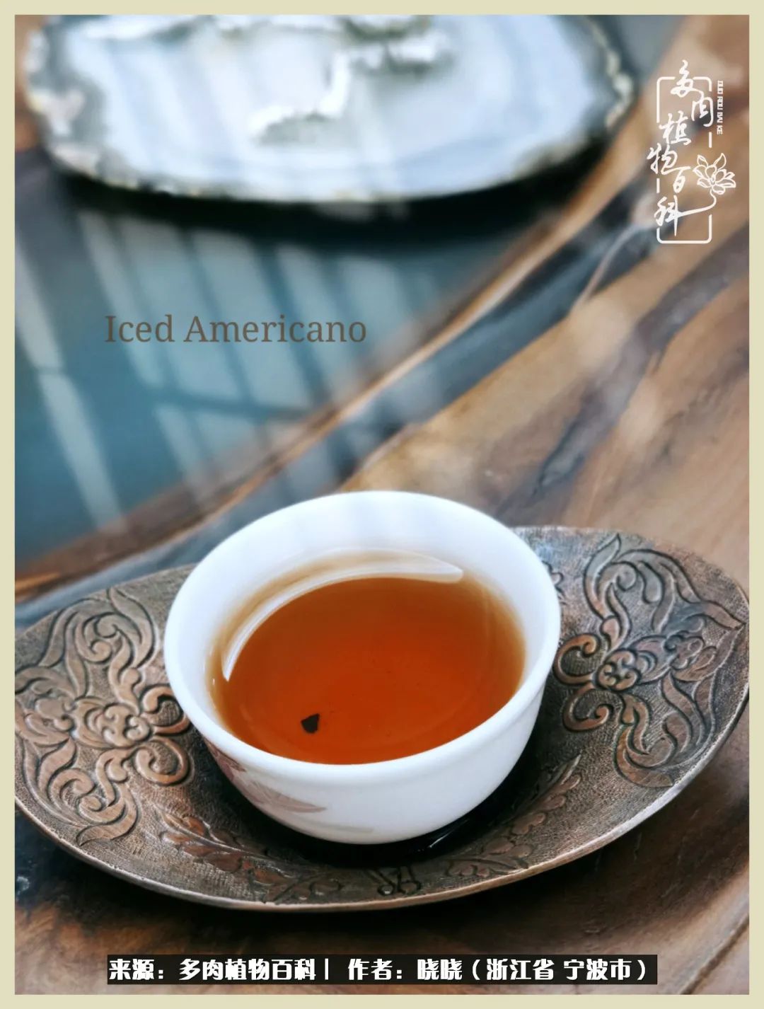 对多肉的热爱深入骨髓,当激情退却希望你依然保持热爱