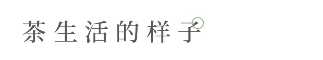 关于我们的茶生活的美文,茶与生活的美文