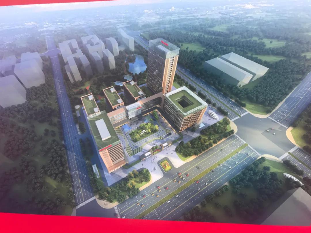 开挂了！比肩世界的爆款区域利好多到数不清！一般人已高攀不起