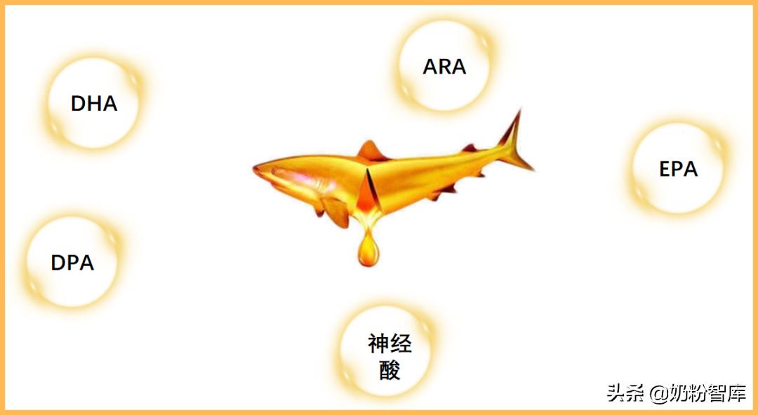 什么样的dha效果比较好,比较好的dha有哪些