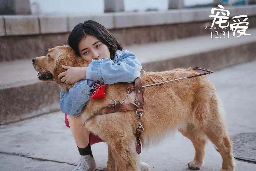 胡歌黄渤哪个电影好看,黄渤胡歌综艺节目视频