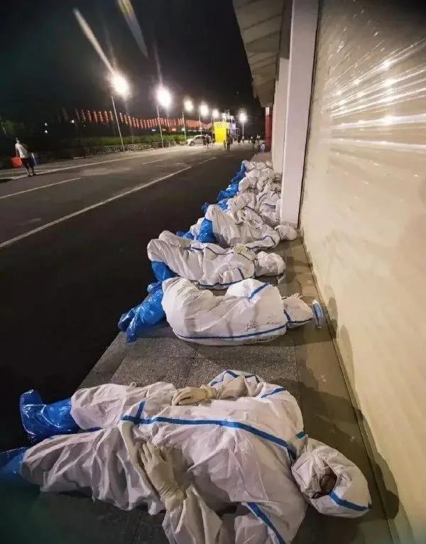 印度毒王最新信息,印度毒王视频