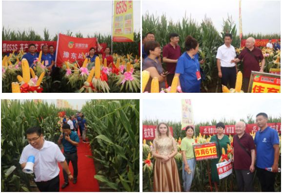 宝景农业,转变思路种地挣钱