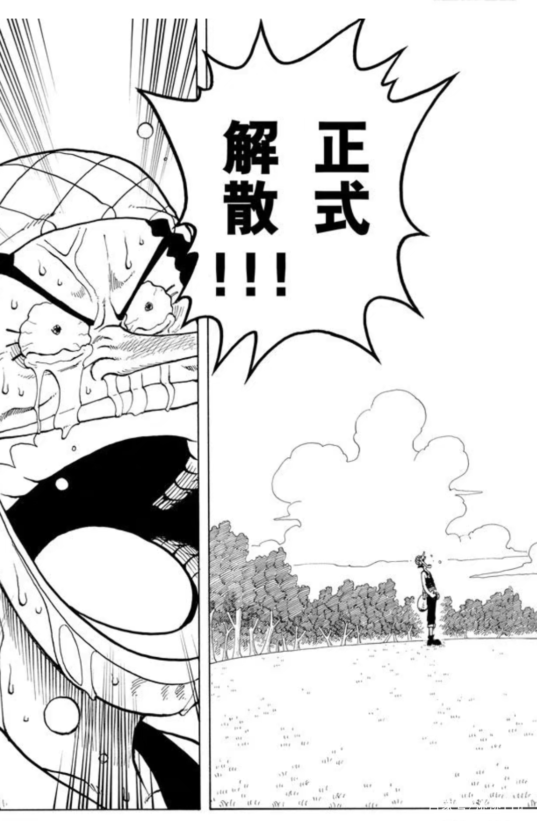 海贼王乌索普是萝莉杀手,海贼王回忆版