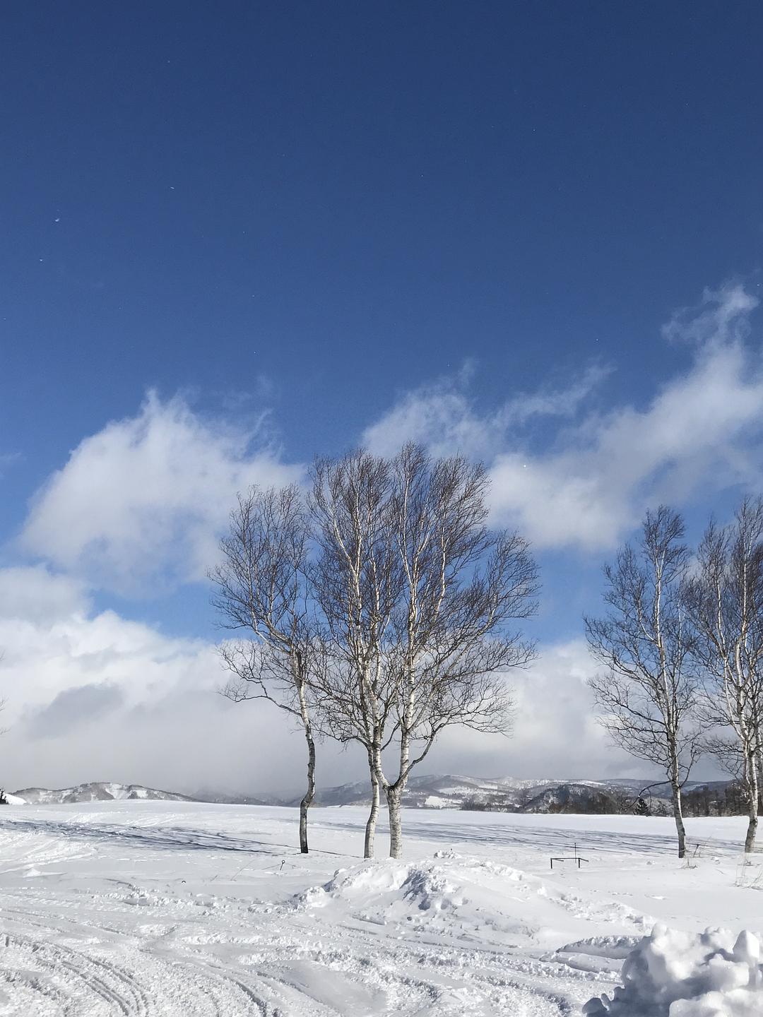 冬日里的童话,冬天里的童话小故事