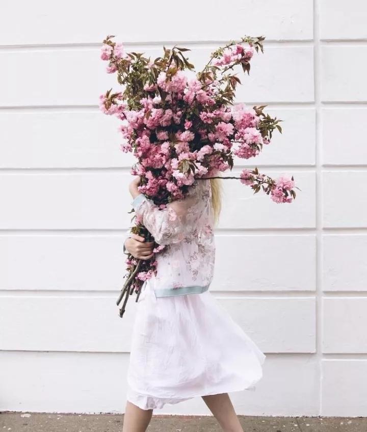 花店里面最贵的花多少钱一朵,花店一大束花的价格一般多少钱