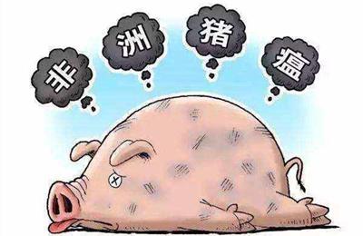 现在大豆价格和收购标准,今年大豆价格最低价是多少钱一斤