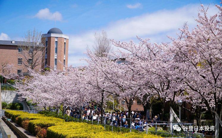 小谷的留学笔记,小谷日本