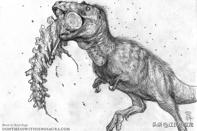 霸王龙和巨齿鲨的咬合力哪个厉害,4个霸王龙的咬合力加起来有多大