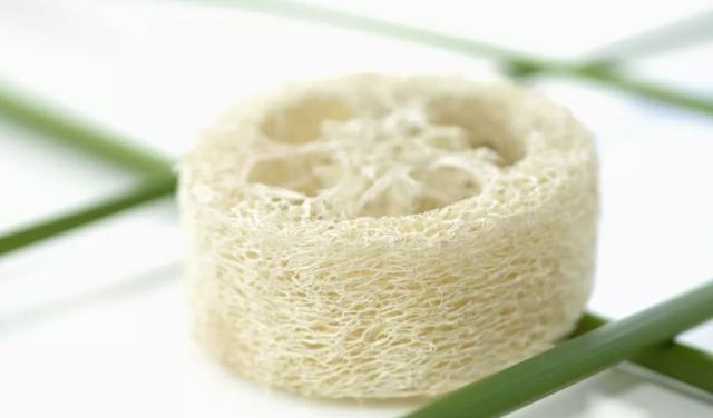 丝瓜养花,老丝瓜有什么用