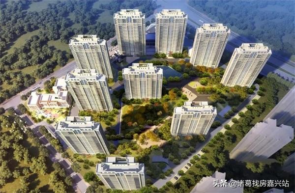 谁在嘉兴黑土地上“种”房子?