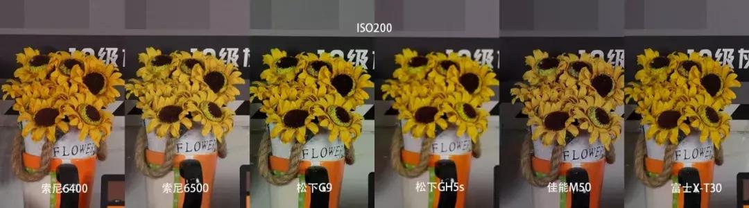 横评|索尼A6400、A6500、松下G9、GH5S、富士X-T30和佳能M50