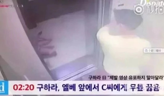 远离家暴更要远离挨打的原因,我从来不打女人用英语怎么说