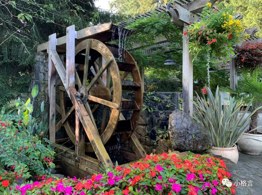 维多利亚著名的花园,维多利亚旅行攻略