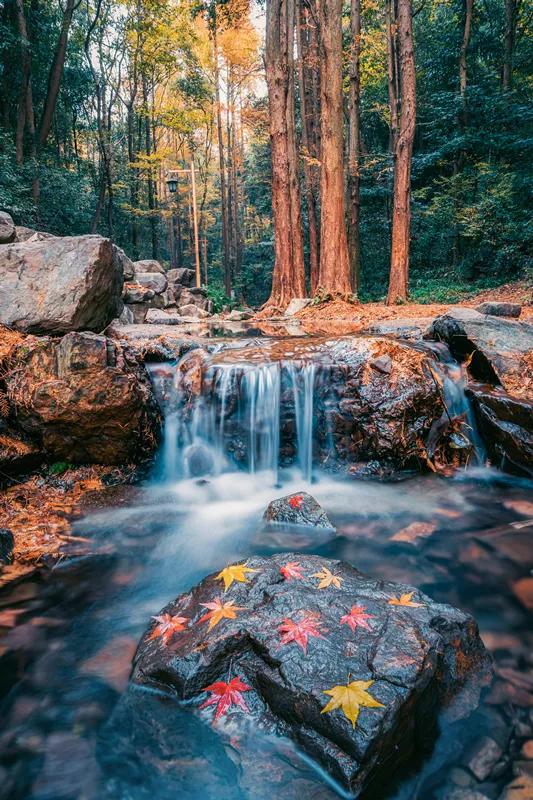 杭州最佳赏秋路线推荐,杭州附近赏秋的地方