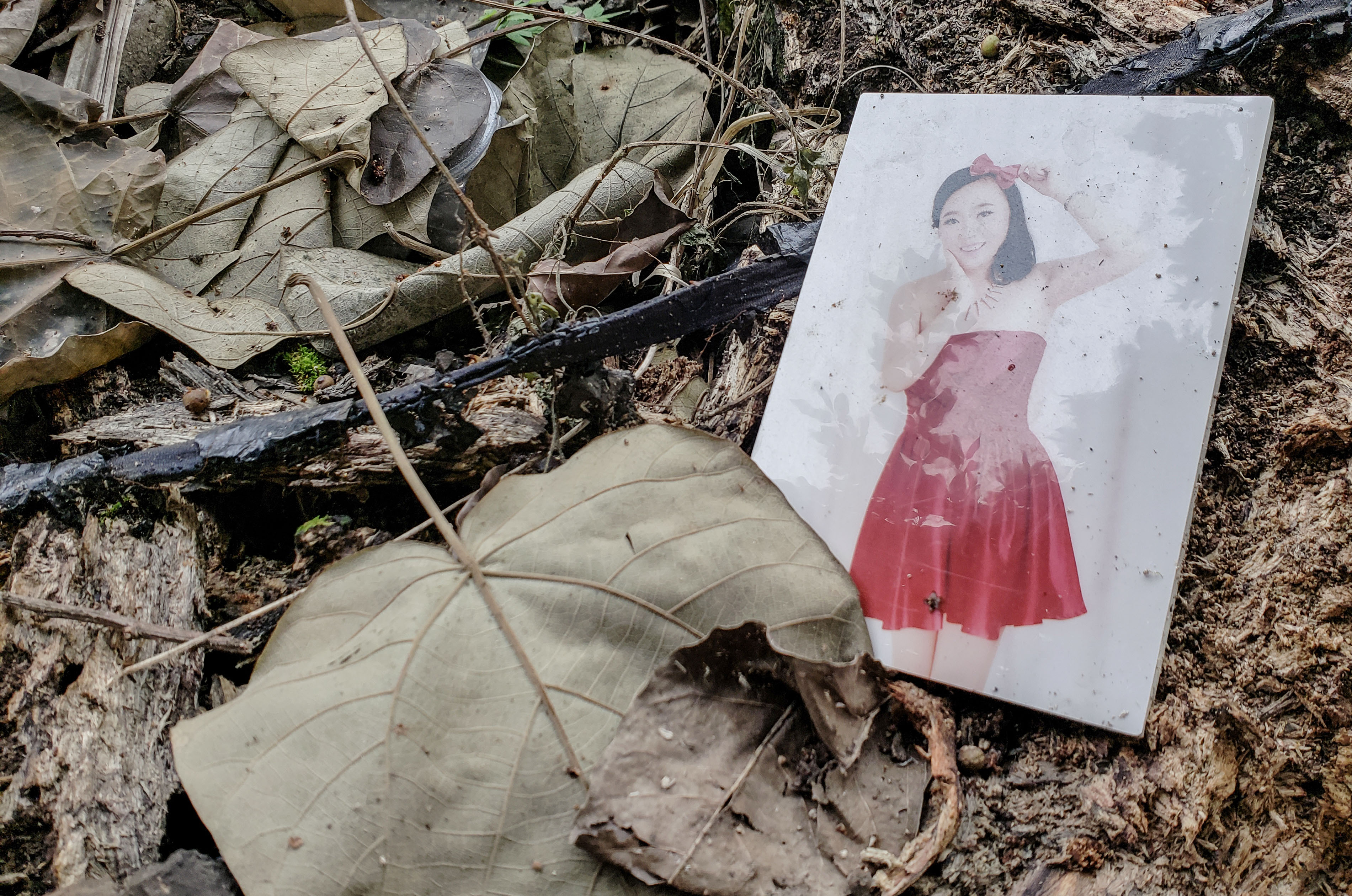 开着福特福克斯去旅游,全新福克斯旅行