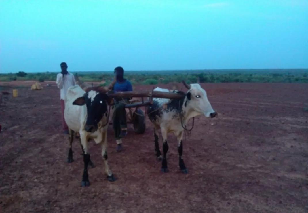 非洲最穷国家“尼日尔”，带你们看看他们的真实生活