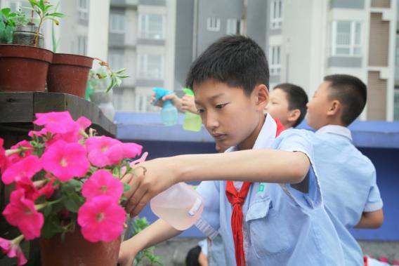 迎春小学双流东升,东升迎春小学