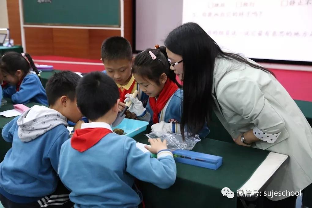 苏杰学校老师怎么应聘,南京苏杰学校