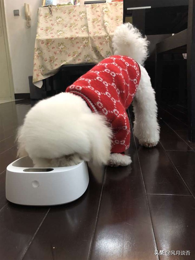 办年货过大年礼盒价格,办年货过大年团团圆圆