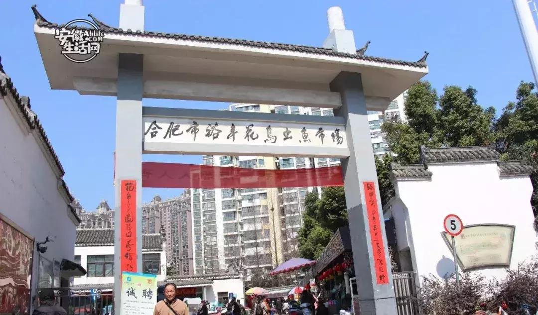 合肥一日游景点有哪些好玩的,合肥一日游最佳景点攻略