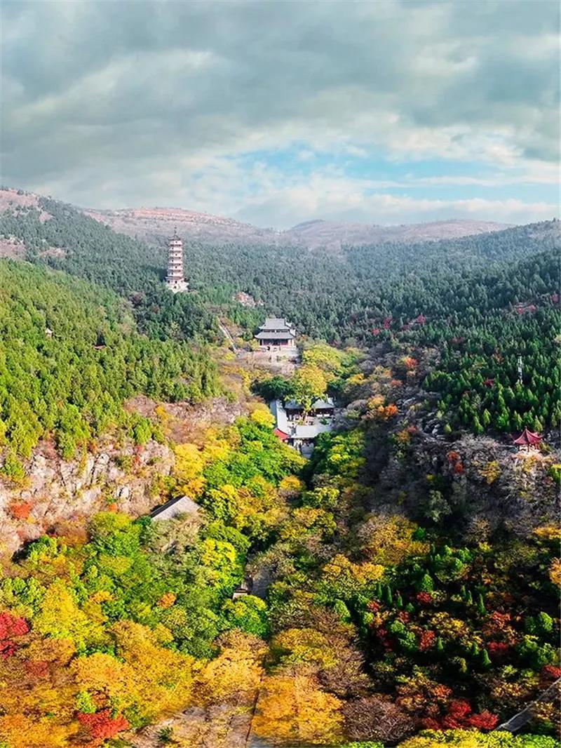 一座来了就不想走的城市泉州,一座来了不想走的城市纪录片