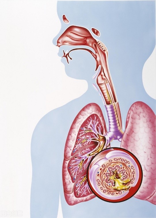 容易被忽视的健康问题,容易被忽视的安全问题