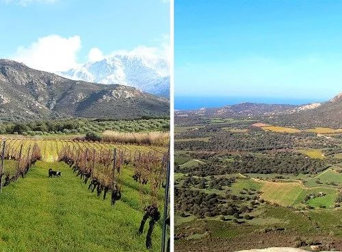 法国葡萄酒产区位于北纬多少度,法国葡萄酒产区burgundy