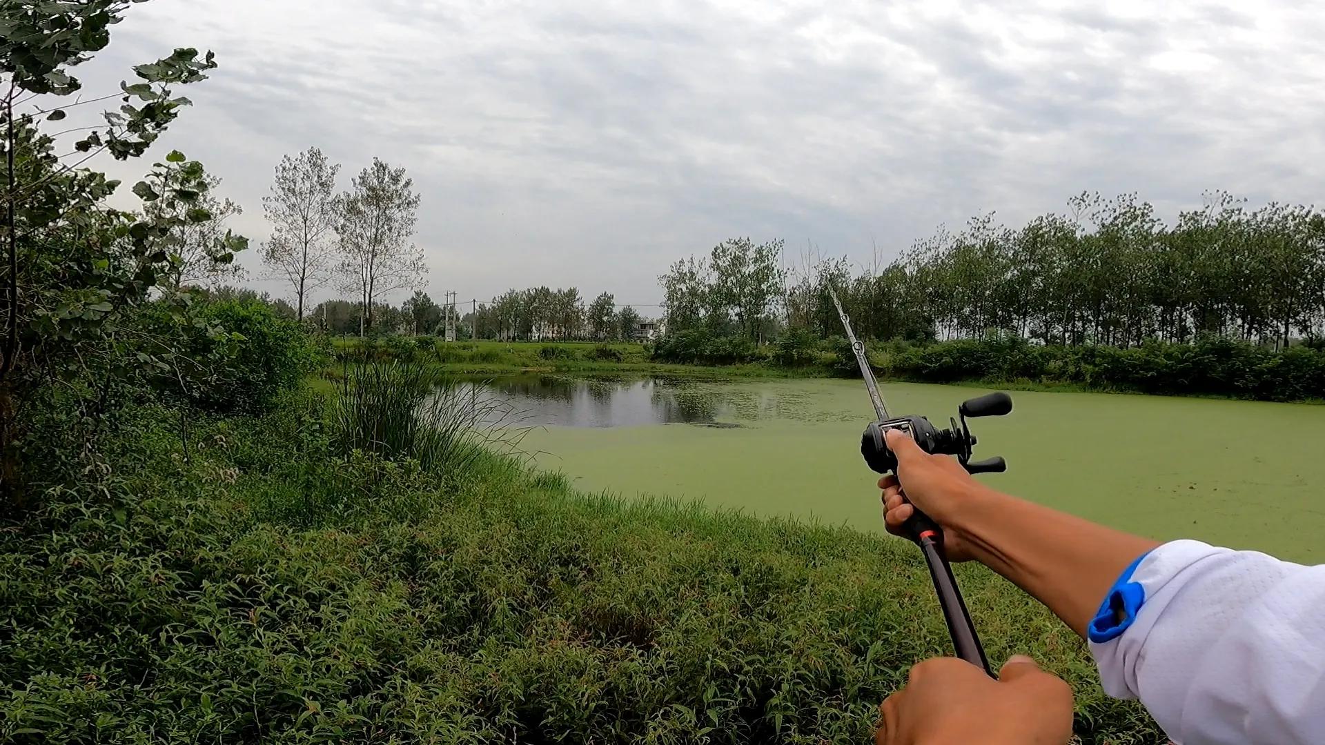 黑鱼雷强手法,雷强钓黑鱼绝密配方