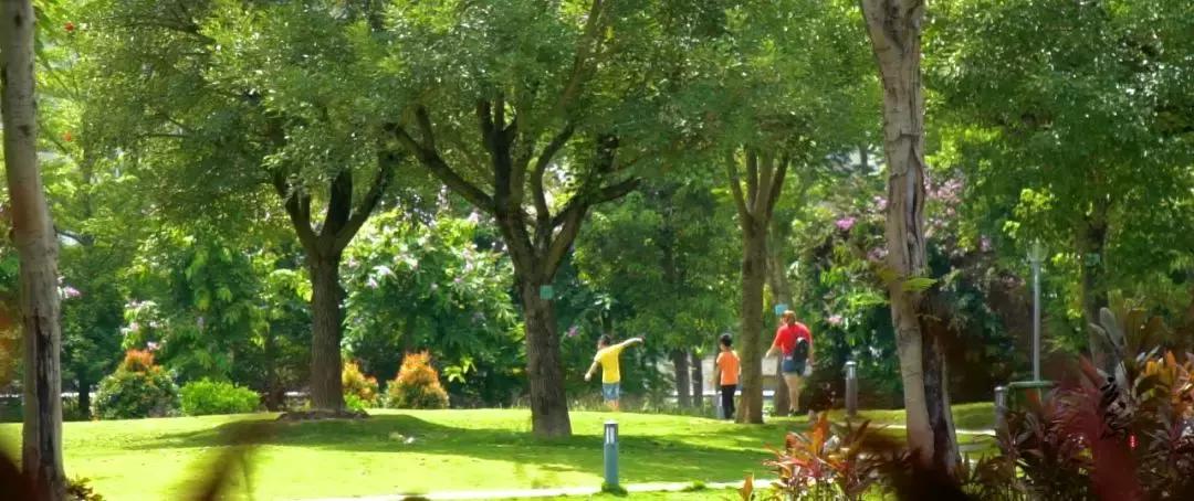 「官宣」怀鸿鹄之志“城”梦想之地——怀城镇宣传片震撼发布