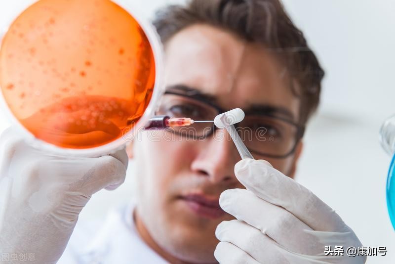 越来越多的证据表明维生素K有益于心脏健康