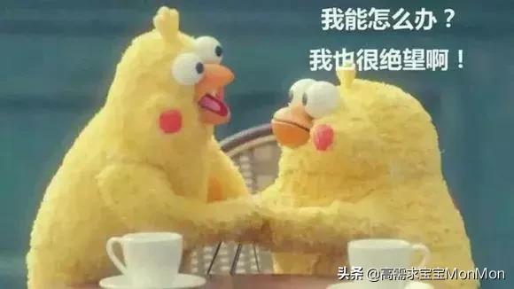 周末去哪儿儿童乐园,儿童去哪儿旅行