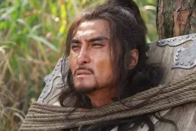 大理的一棵梅花,一棵大理梅品百味解千愁