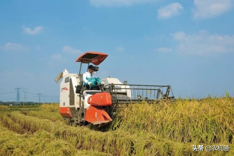 苏州久保田为何遭遇发展瓶颈？