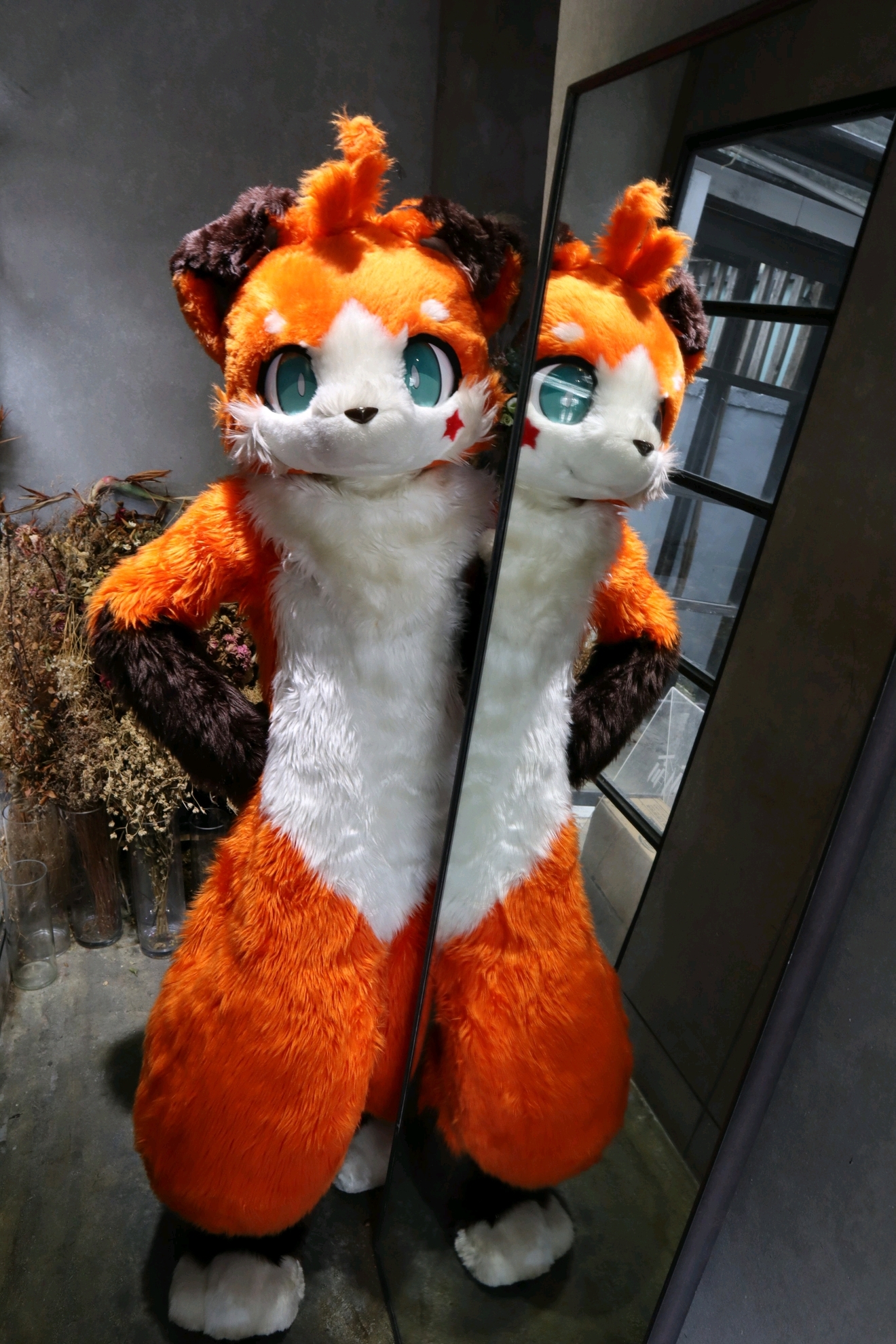 杂图系列（*男猛**系列：兽人furry第一弹）#1