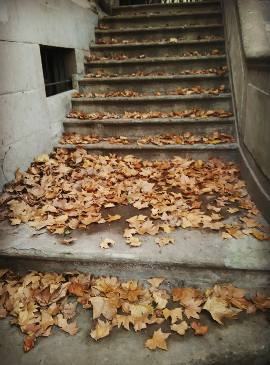 镇江有生活气息的地方,镇江的地方特色