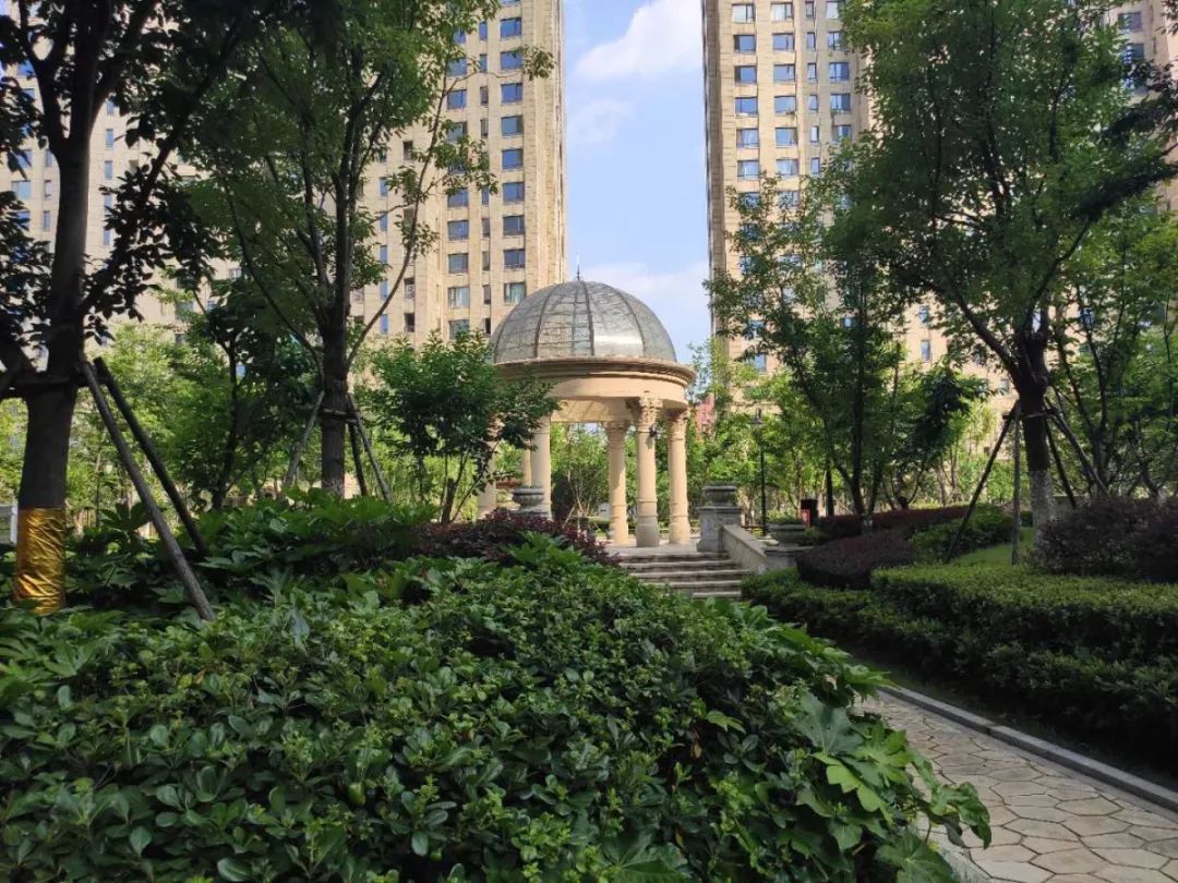 归来仍是少年古玩市场,归来仍是少年季羡林