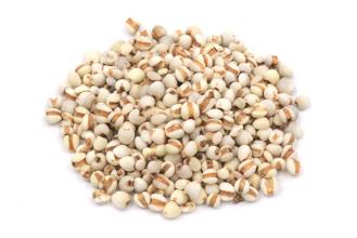 薏苡仁是健脾的还是祛湿的,中药生薏苡仁的功效与作用