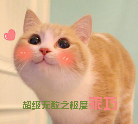 西班牙有什么运动,怎么用西班牙语回答是否喜欢运动