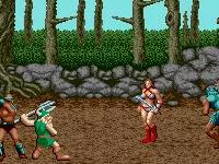 md战棋游戏,md双人游戏