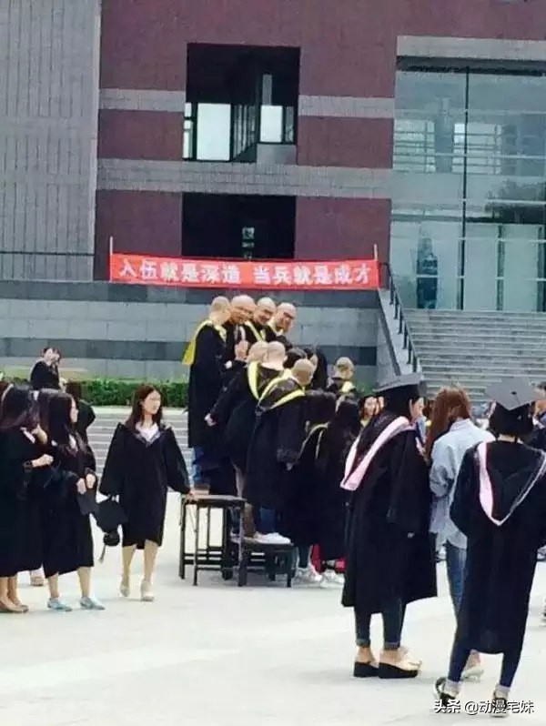 秃顶率最高的十大专业,秃顶率最高的学科是什么