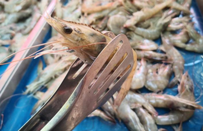 买大虾怎么挑选直的好还是弯的好,买大虾怎么冻好