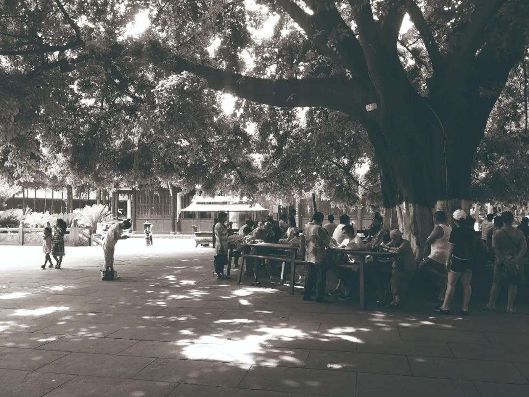 读城记成都篇,宋代成都遗迹