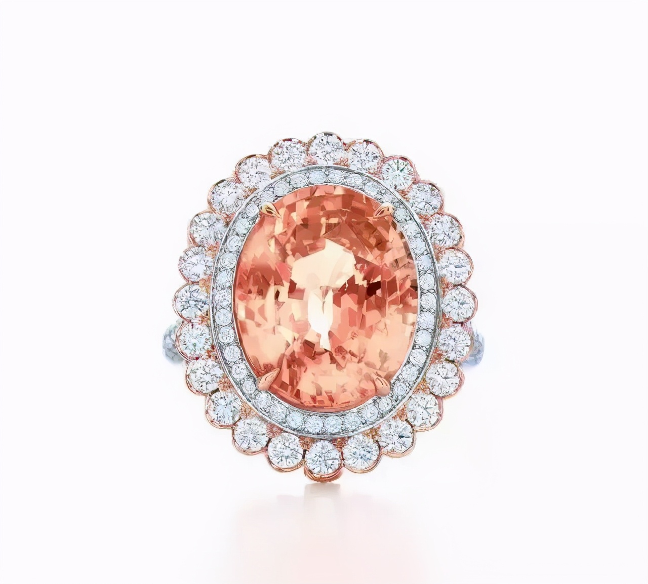 最完美的帕帕拉恰,帕帕拉恰是啥玩意