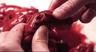 扬州究竟值不值得吃?