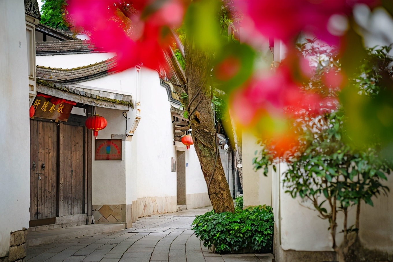 福州7日游的最佳攻略,福州一日游最佳方案旅游攻略