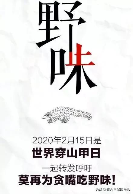 穿山甲报应,报应啊